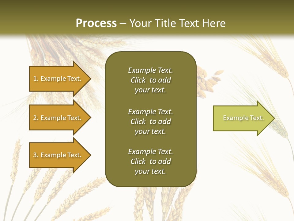 Dry Hay Wheat PowerPoint Template