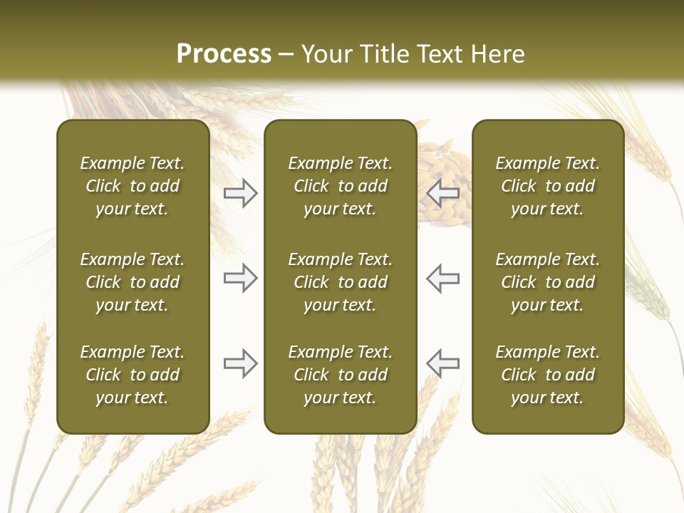 Dry Hay Wheat PowerPoint Template