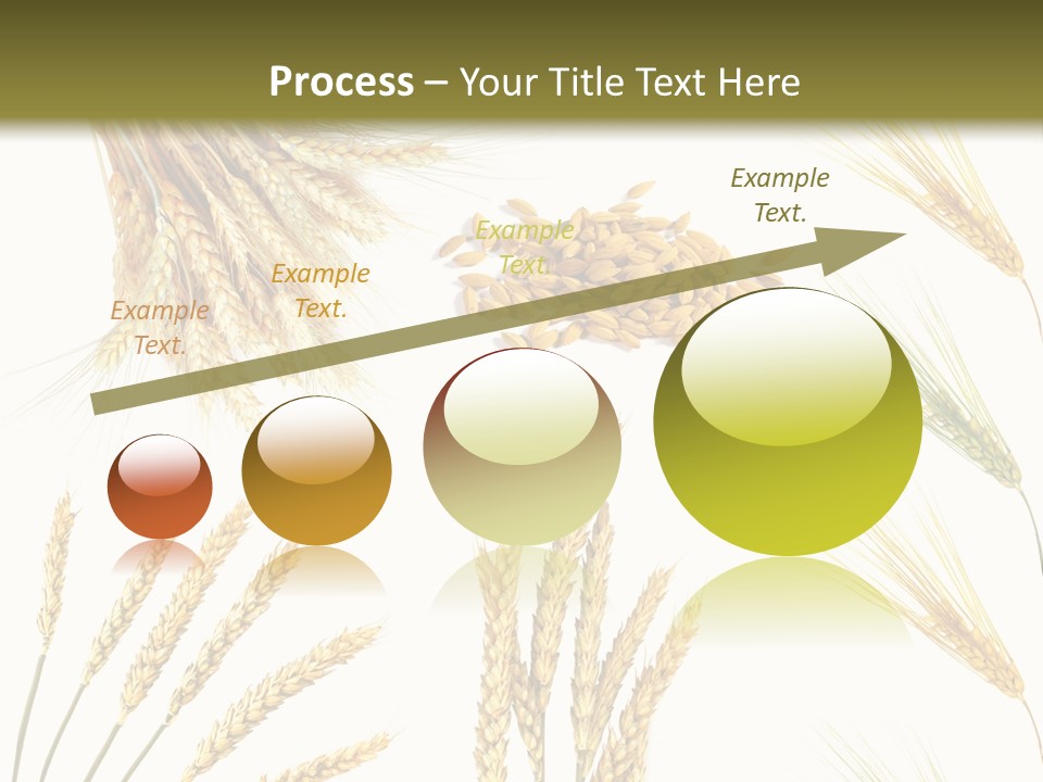 Dry Hay Wheat PowerPoint Template