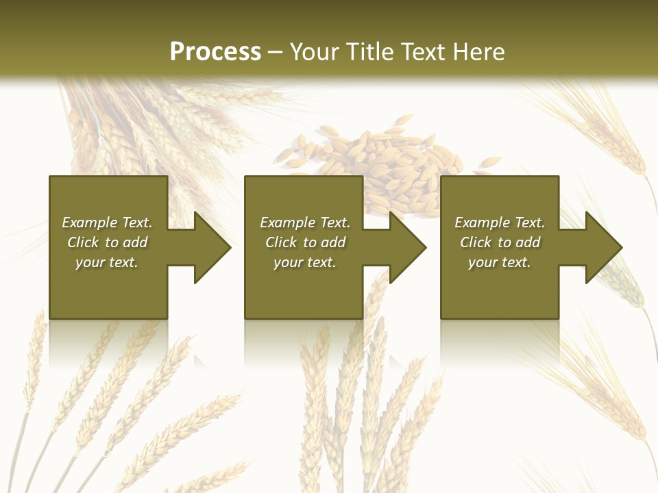 Dry Hay Wheat PowerPoint Template