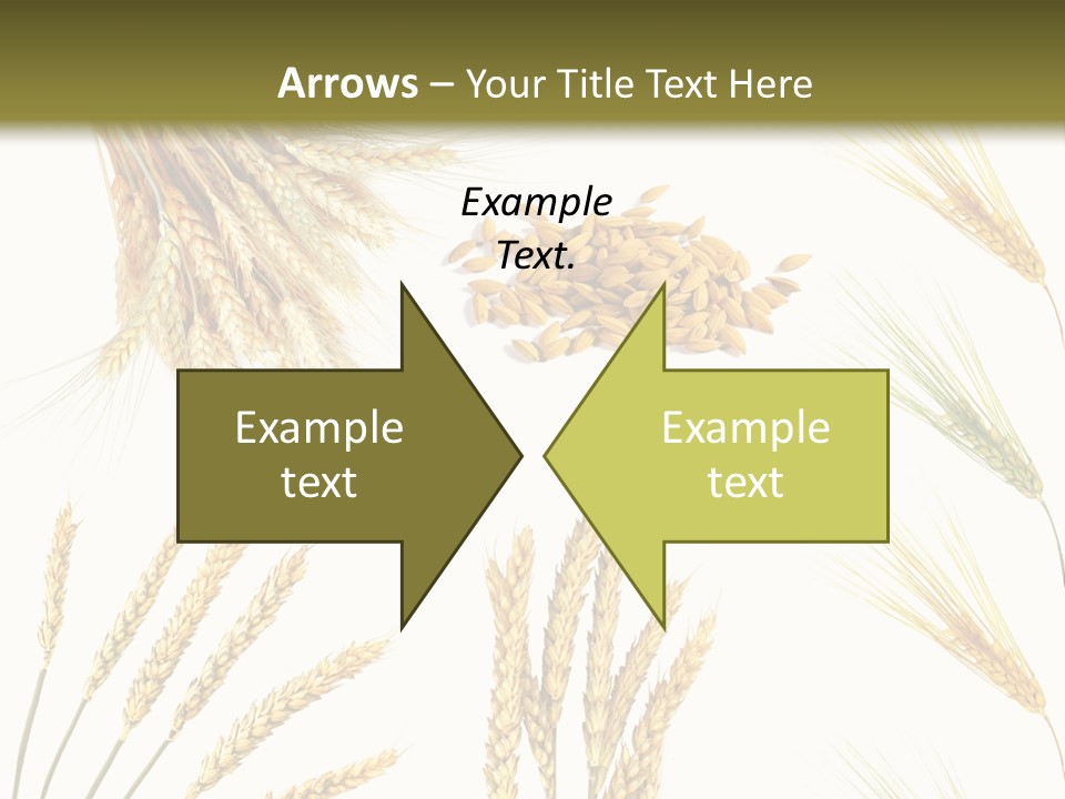 Dry Hay Wheat PowerPoint Template