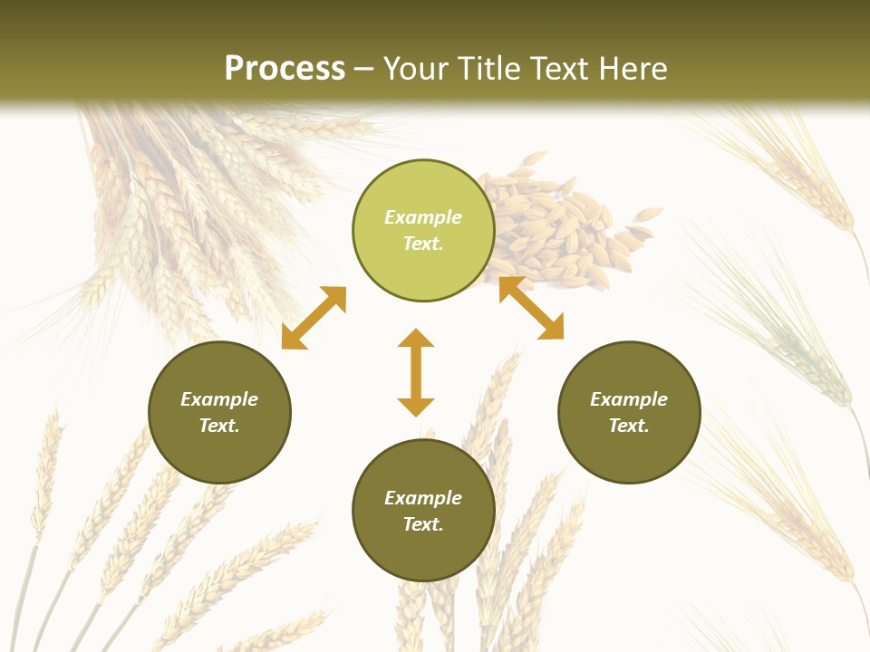 Dry Hay Wheat PowerPoint Template