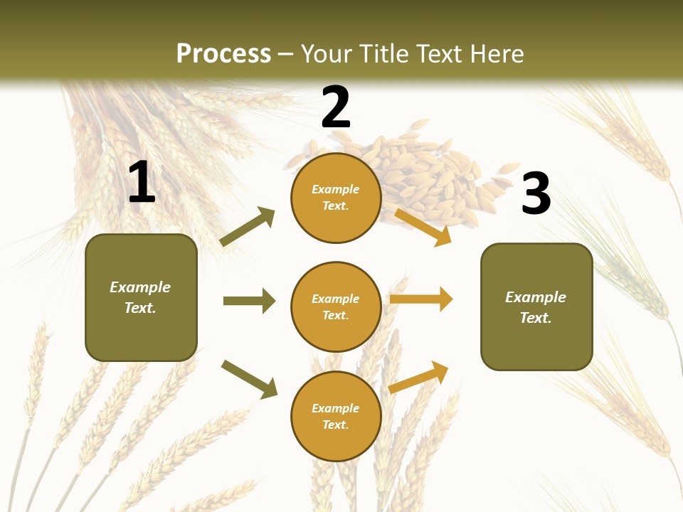 Dry Hay Wheat PowerPoint Template