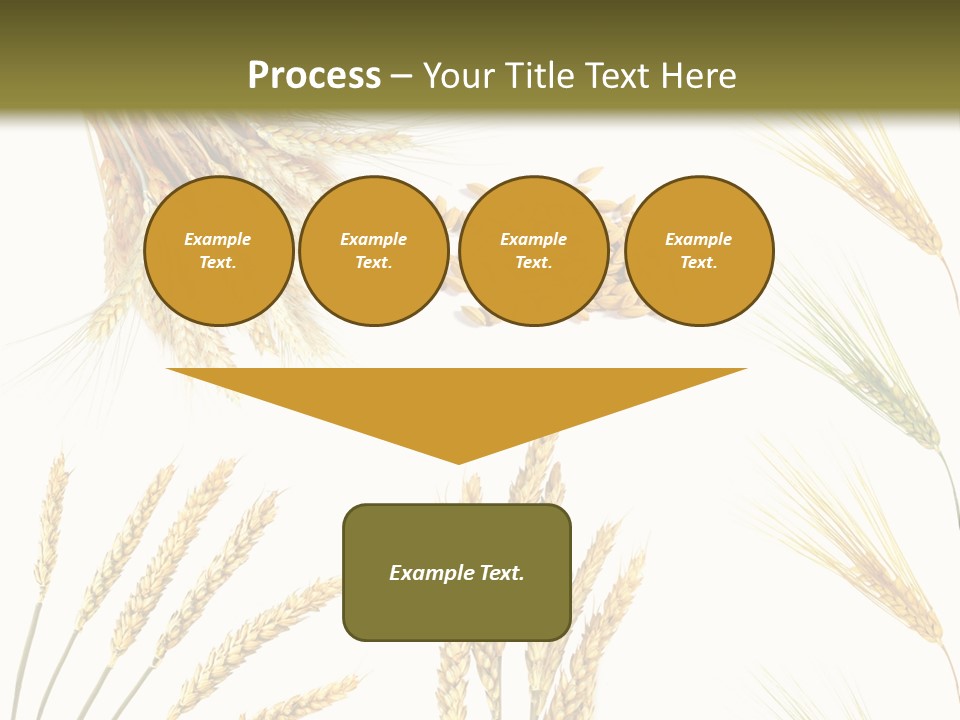Dry Hay Wheat PowerPoint Template