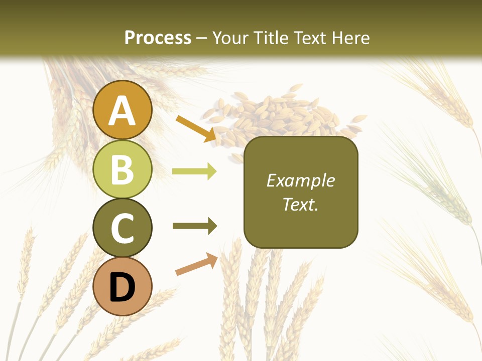 Dry Hay Wheat PowerPoint Template