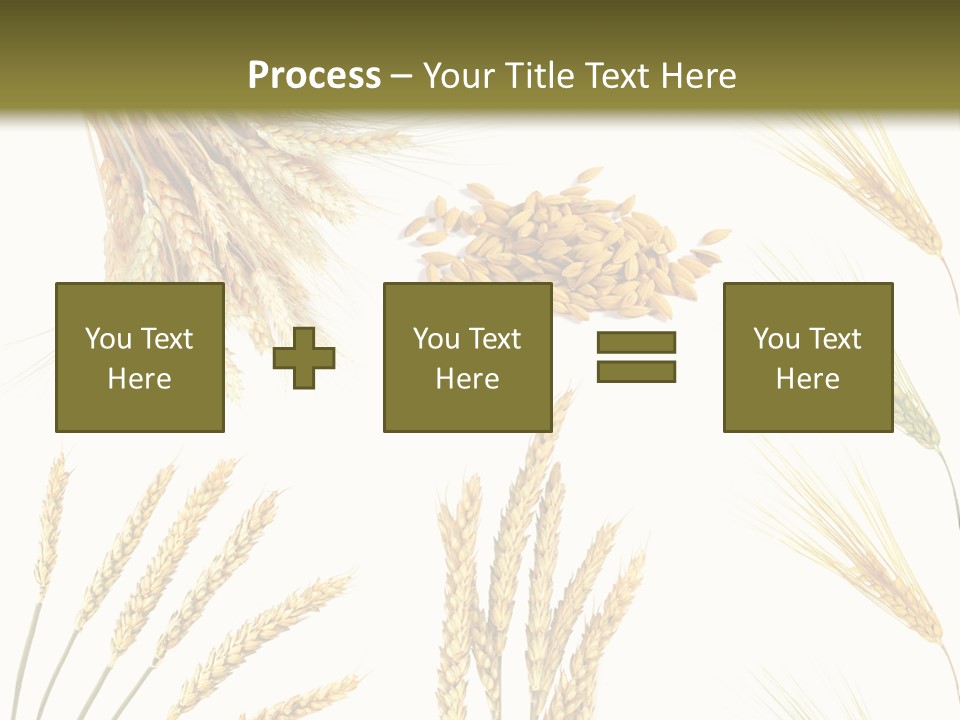 Dry Hay Wheat PowerPoint Template