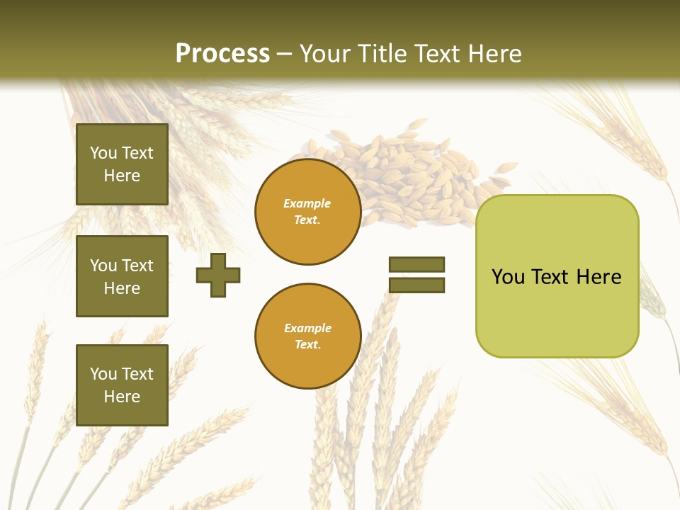 Dry Hay Wheat PowerPoint Template