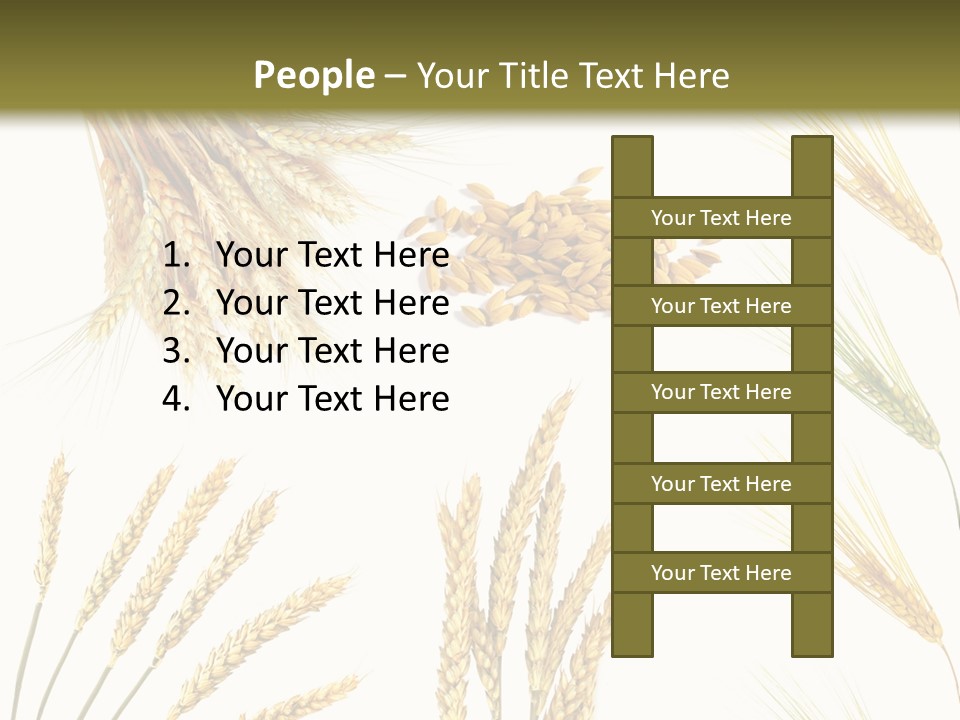 Dry Hay Wheat PowerPoint Template