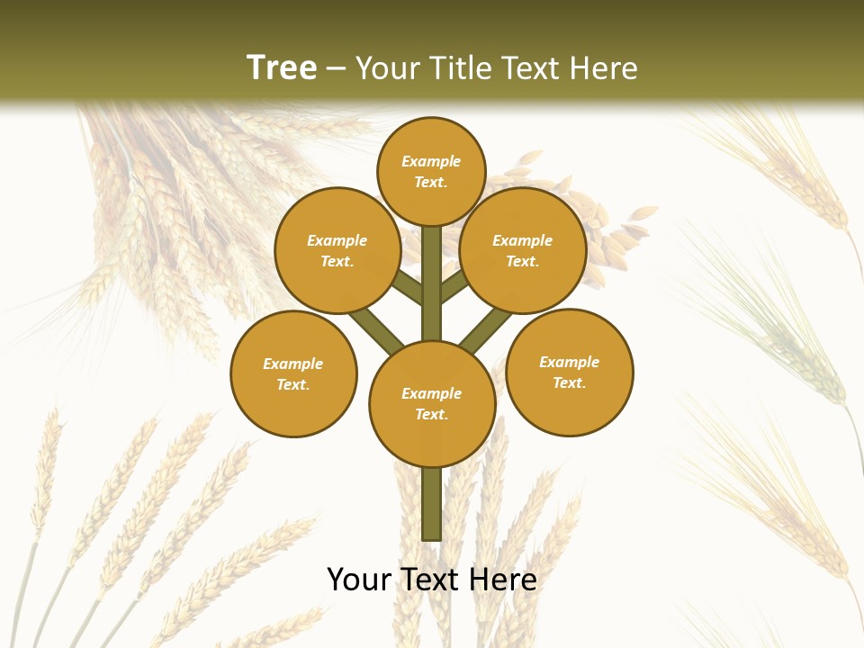 Dry Hay Wheat PowerPoint Template