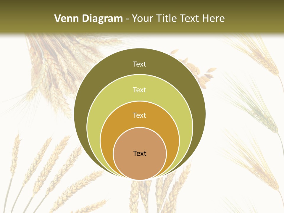 Dry Hay Wheat PowerPoint Template