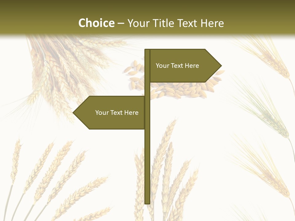 Dry Hay Wheat PowerPoint Template