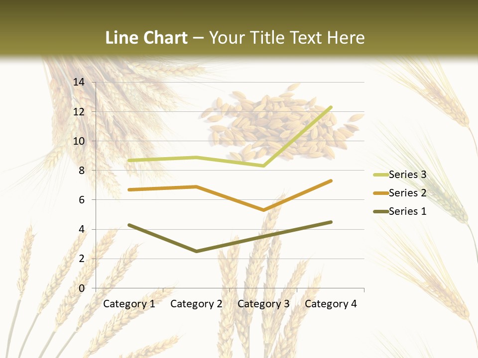 Dry Hay Wheat PowerPoint Template