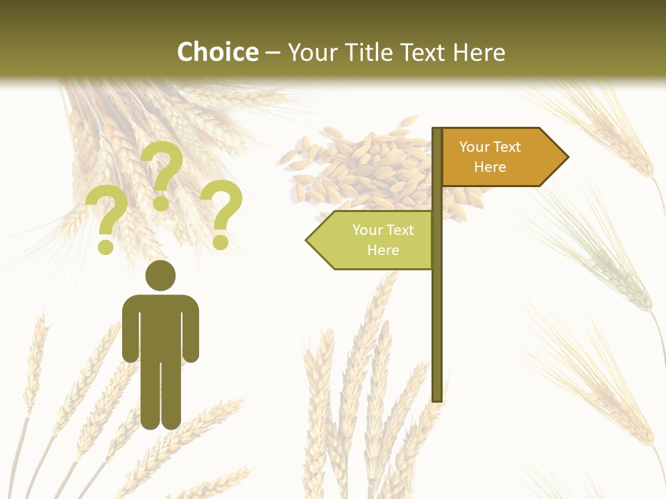 Dry Hay Wheat PowerPoint Template