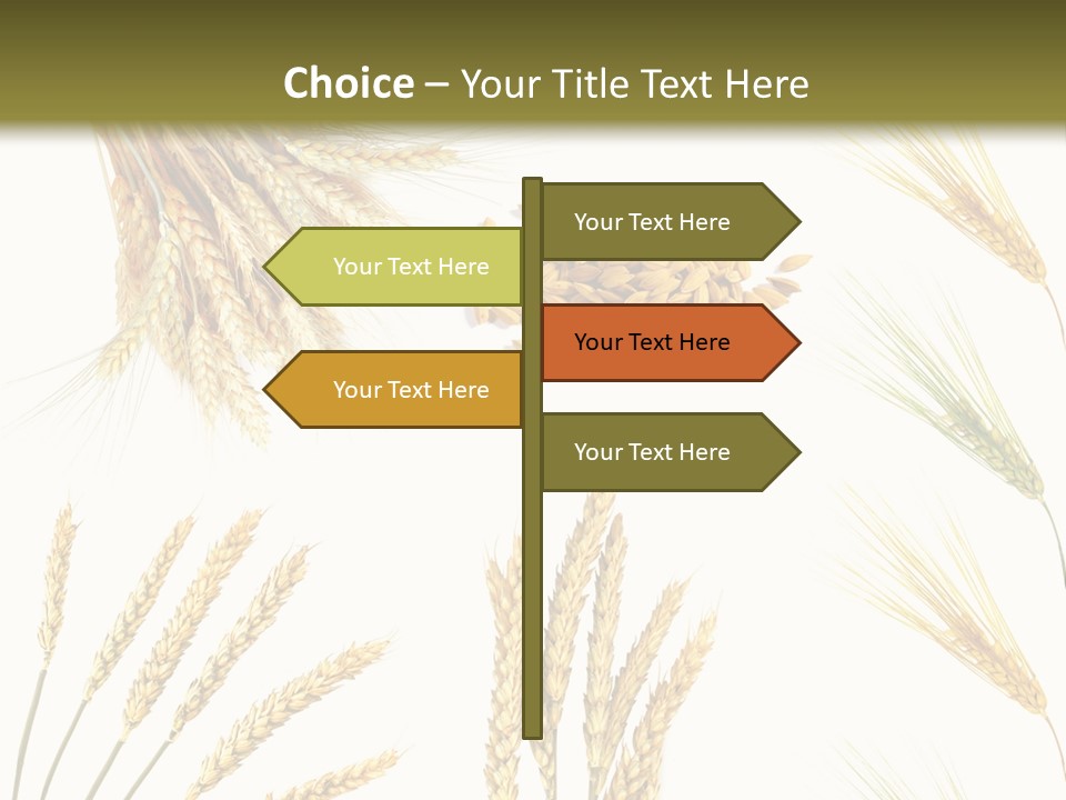 Dry Hay Wheat PowerPoint Template