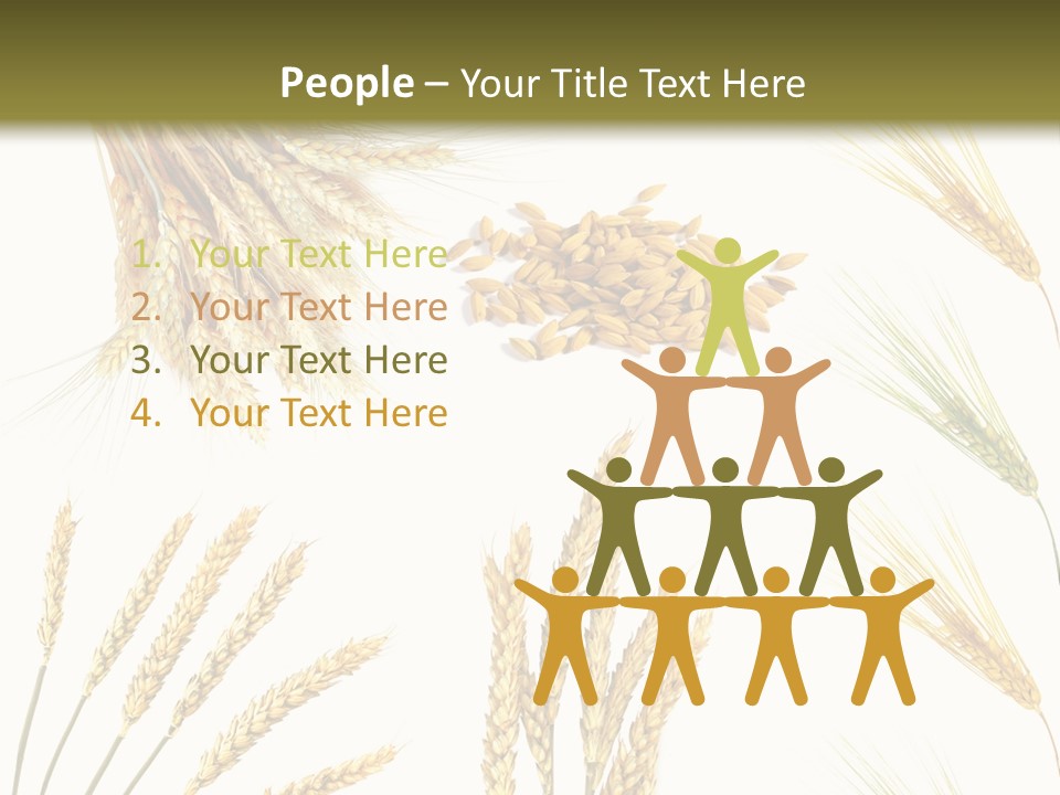 Dry Hay Wheat PowerPoint Template