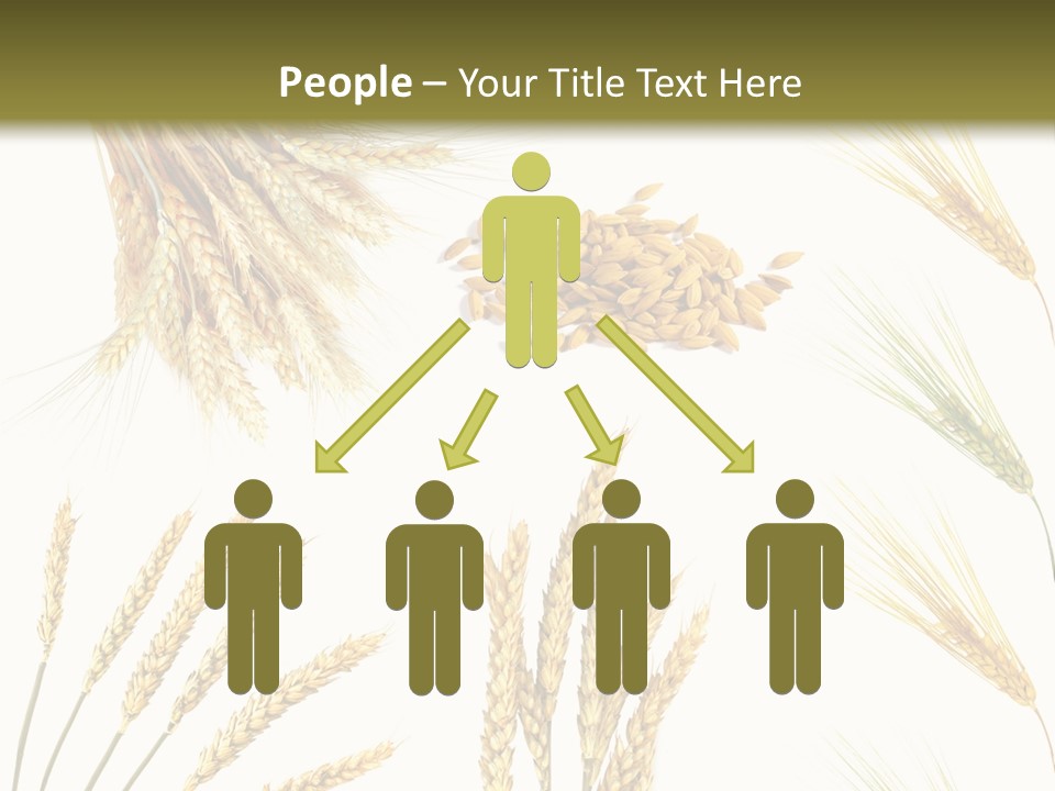 Dry Hay Wheat PowerPoint Template
