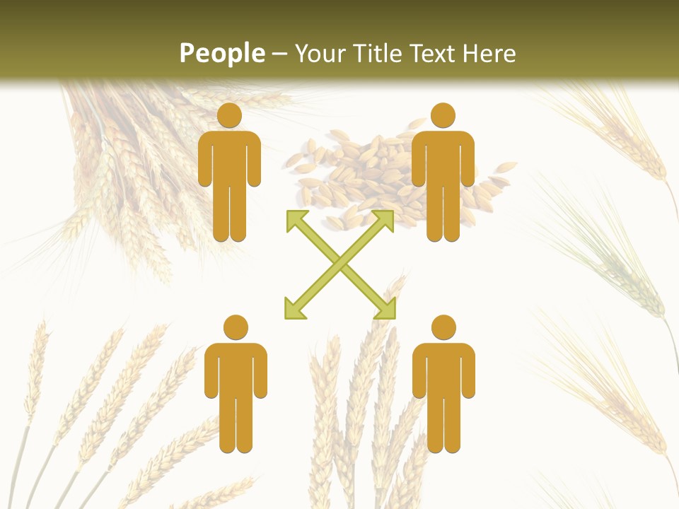 Dry Hay Wheat PowerPoint Template
