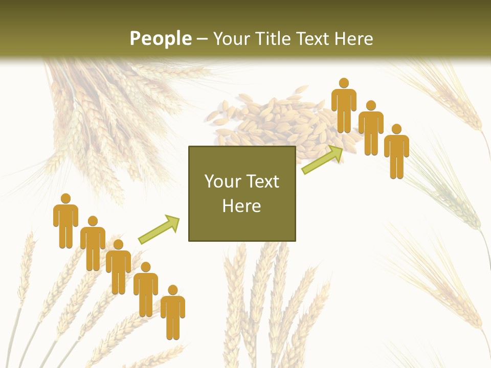 Dry Hay Wheat PowerPoint Template
