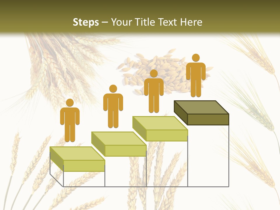 Dry Hay Wheat PowerPoint Template