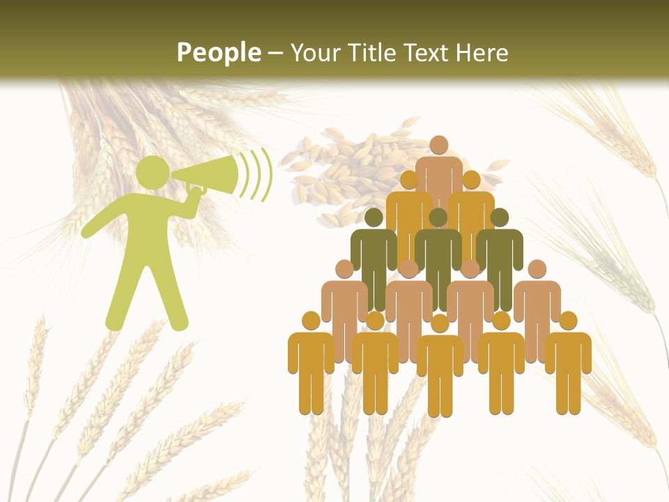 Dry Hay Wheat PowerPoint Template