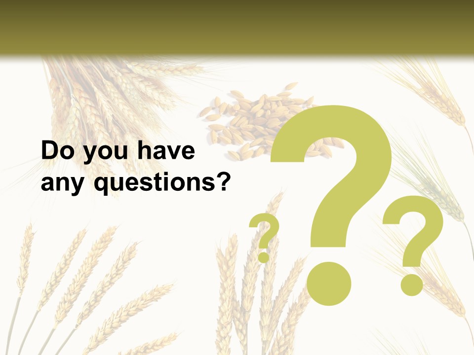 Dry Hay Wheat PowerPoint Template