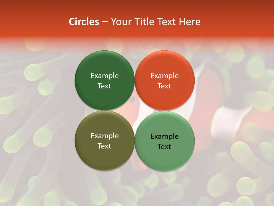 All Types Of Fish In The World PowerPoint Template