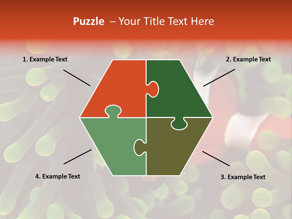 All Types Of Fish In The World PowerPoint Template