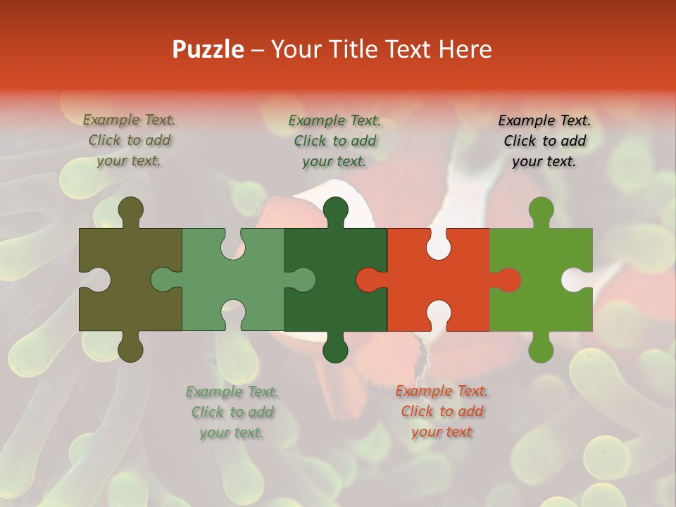 All Types Of Fish In The World PowerPoint Template