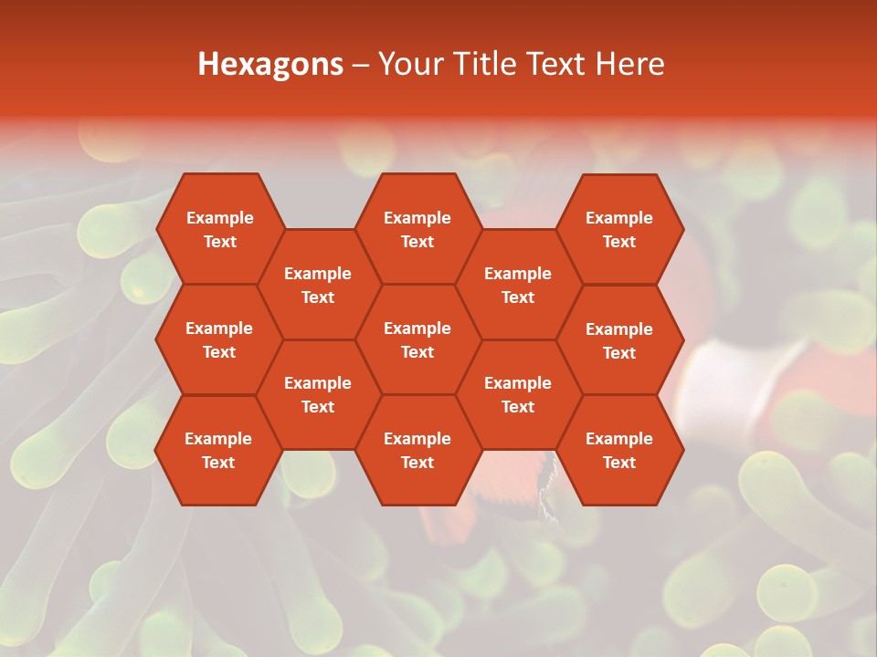 All Types Of Fish In The World PowerPoint Template