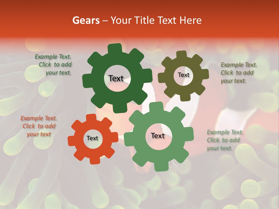 All Types Of Fish In The World PowerPoint Template