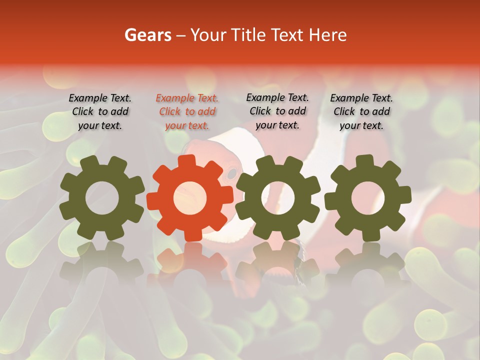 All Types Of Fish In The World PowerPoint Template