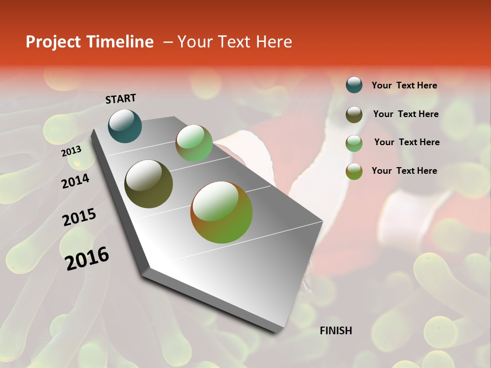 All Types Of Fish In The World PowerPoint Template