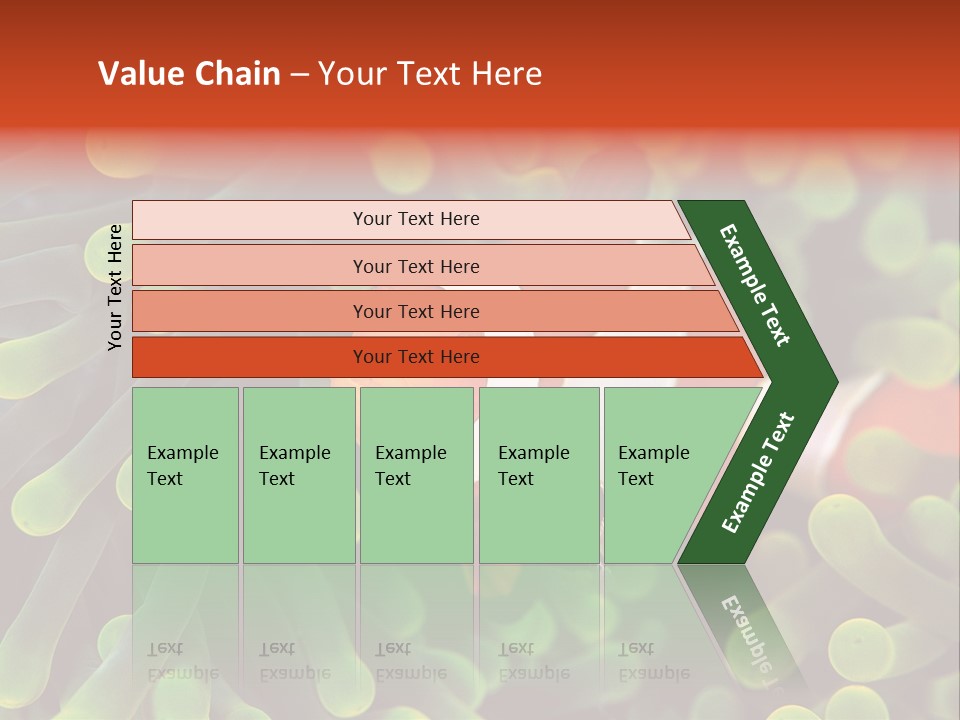 All Types Of Fish In The World PowerPoint Template