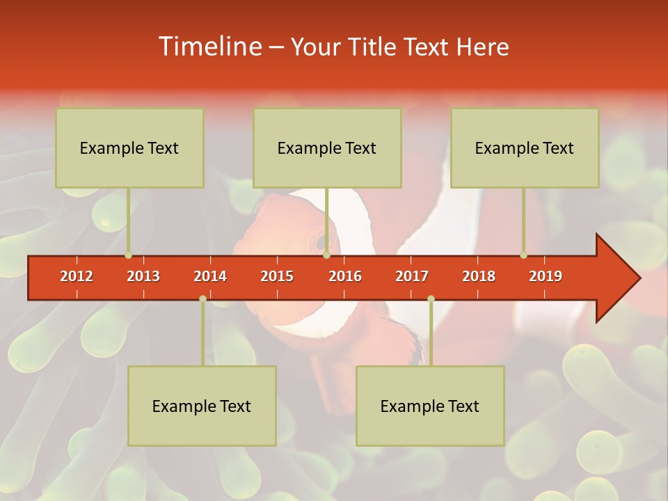 All Types Of Fish In The World PowerPoint Template