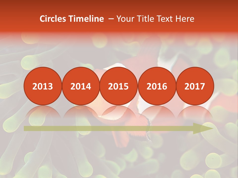 All Types Of Fish In The World PowerPoint Template