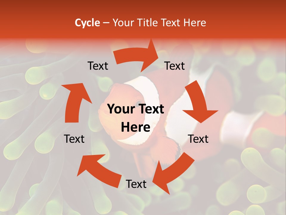 All Types Of Fish In The World PowerPoint Template