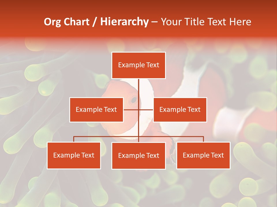 All Types Of Fish In The World PowerPoint Template