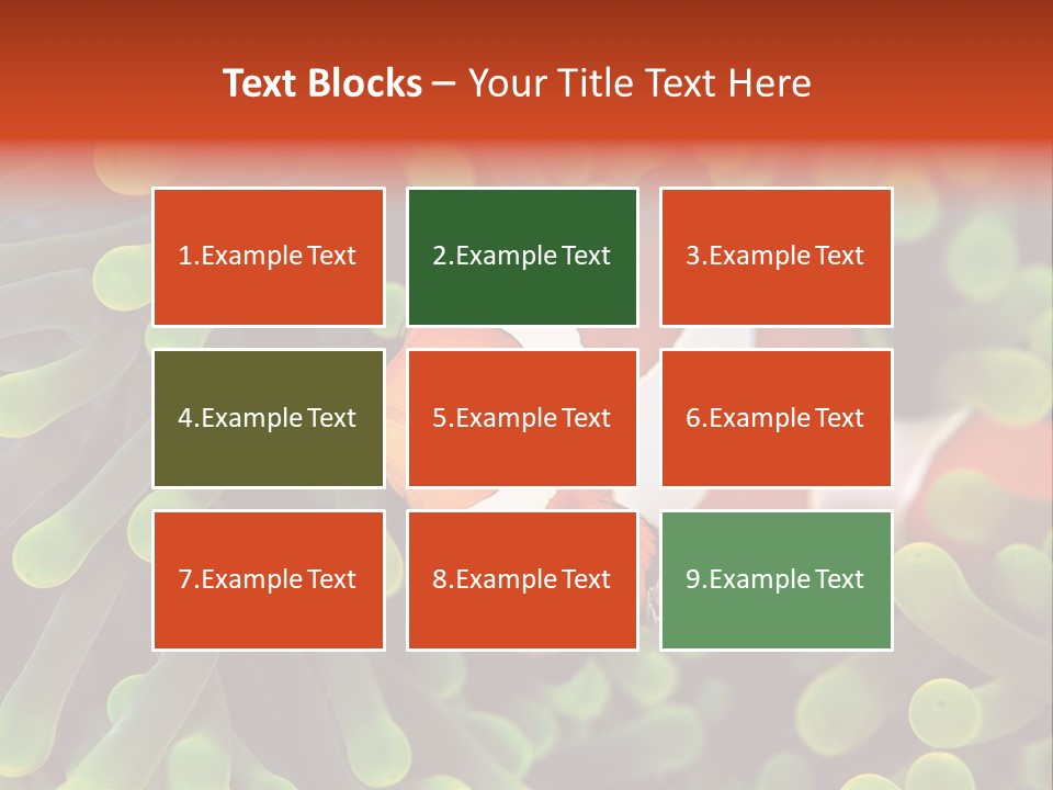 All Types Of Fish In The World PowerPoint Template