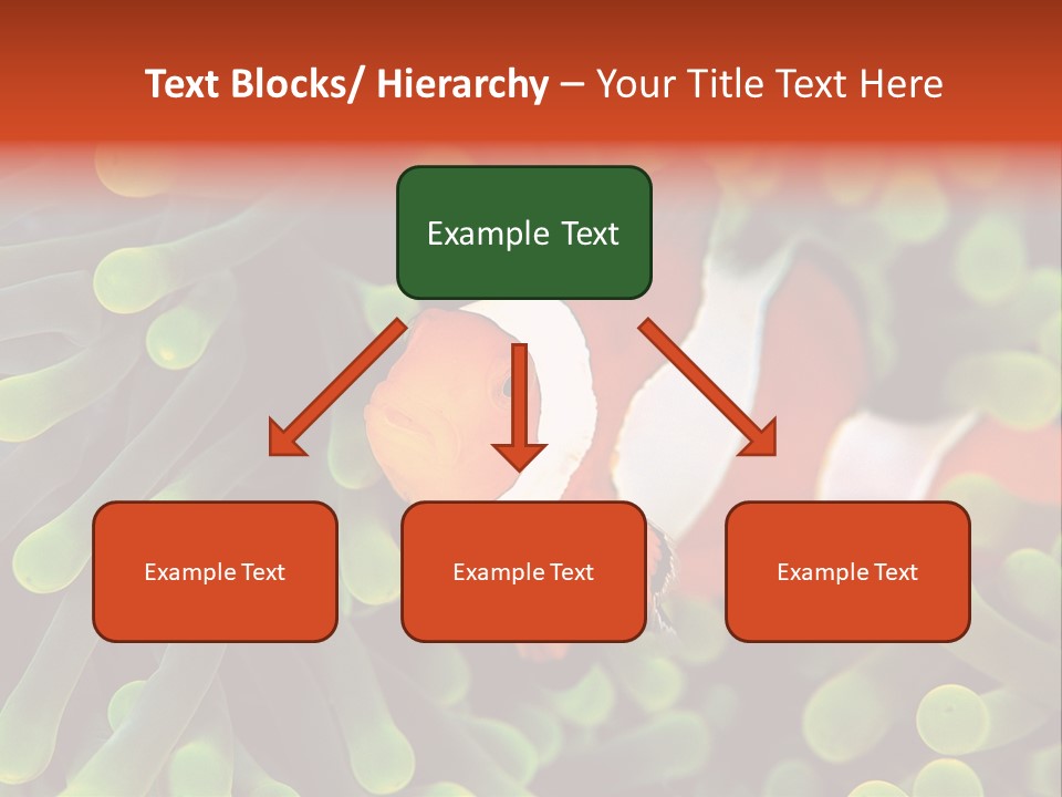 All Types Of Fish In The World PowerPoint Template