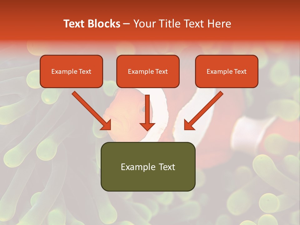 All Types Of Fish In The World PowerPoint Template