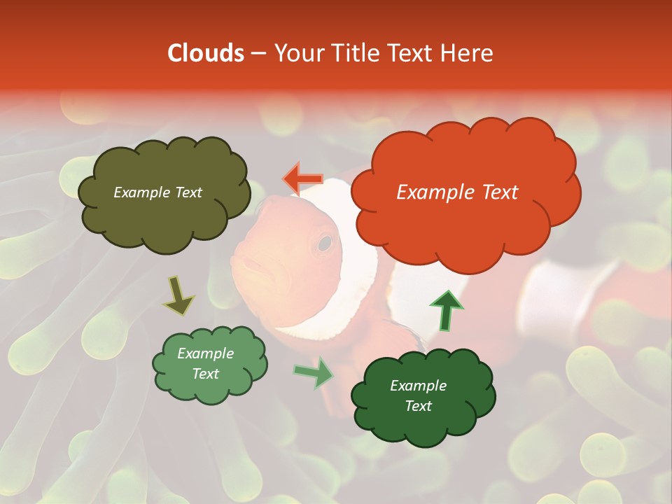 All Types Of Fish In The World PowerPoint Template