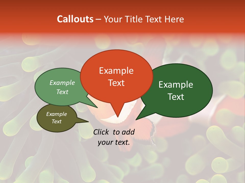 All Types Of Fish In The World PowerPoint Template