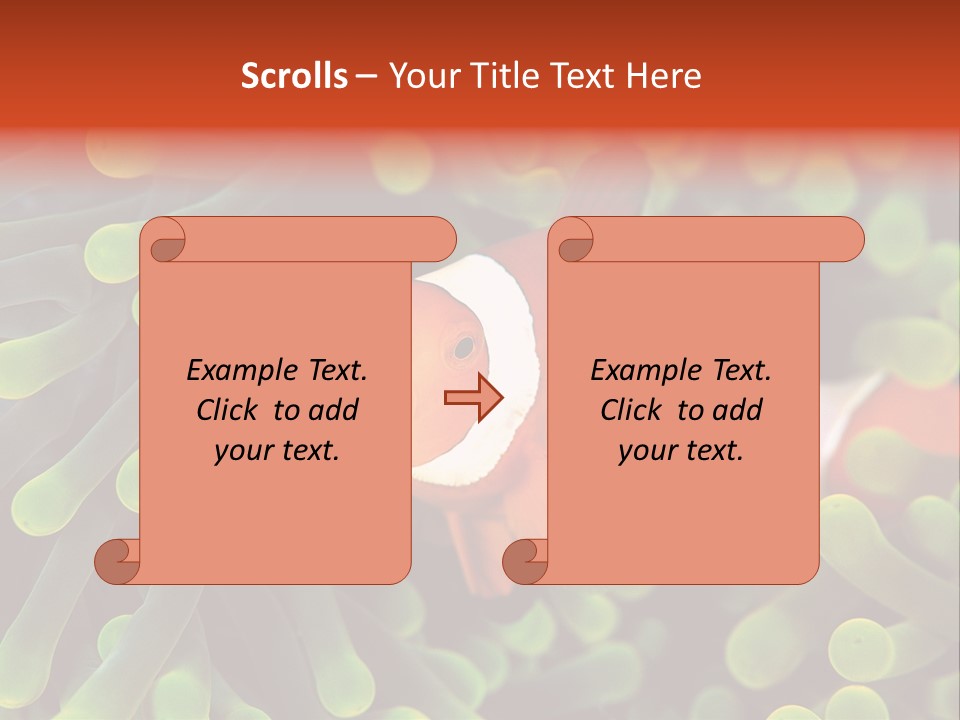 All Types Of Fish In The World PowerPoint Template