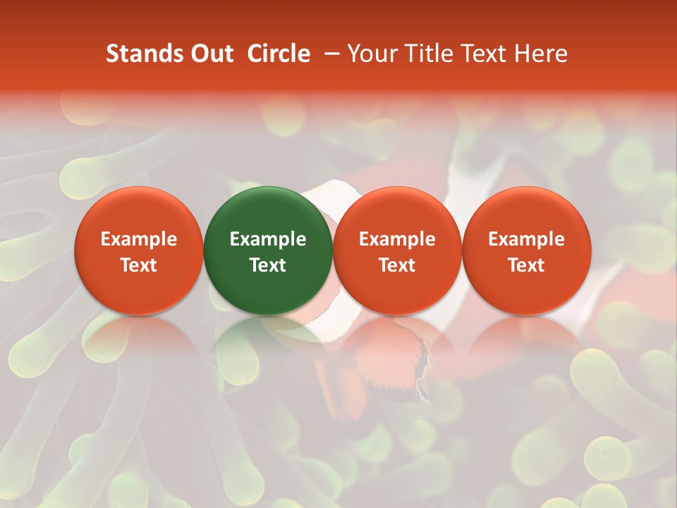 All Types Of Fish In The World PowerPoint Template