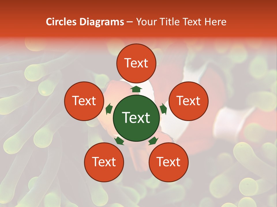 All Types Of Fish In The World PowerPoint Template