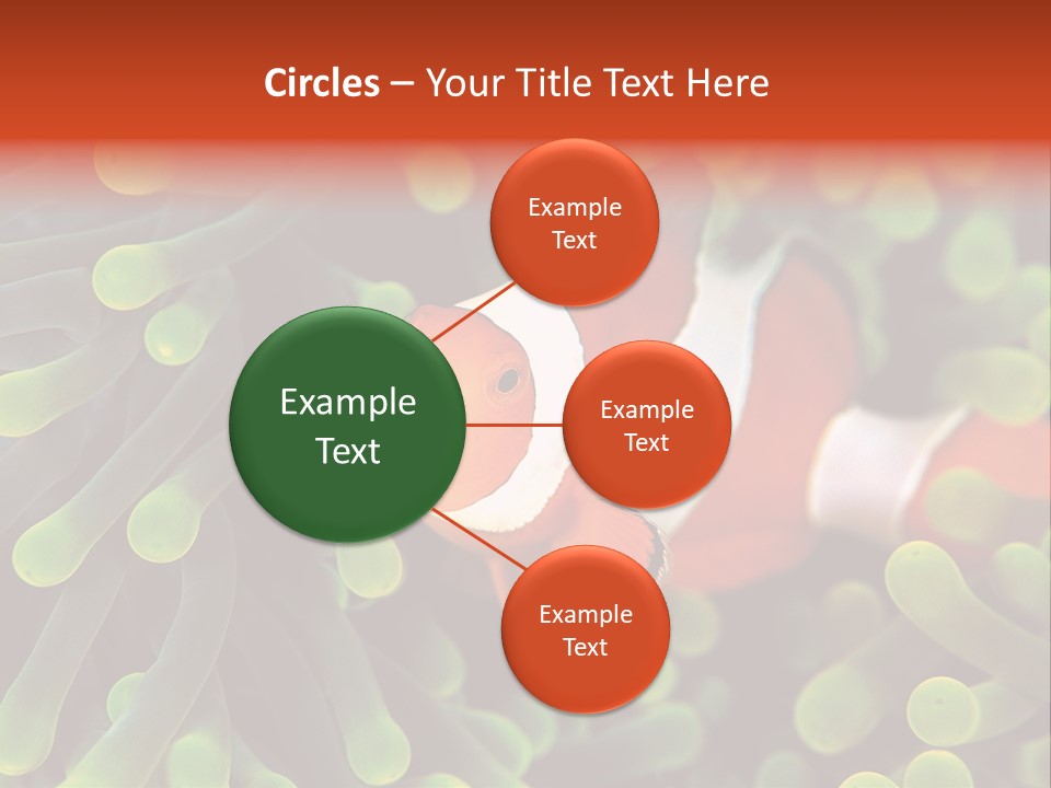 All Types Of Fish In The World PowerPoint Template