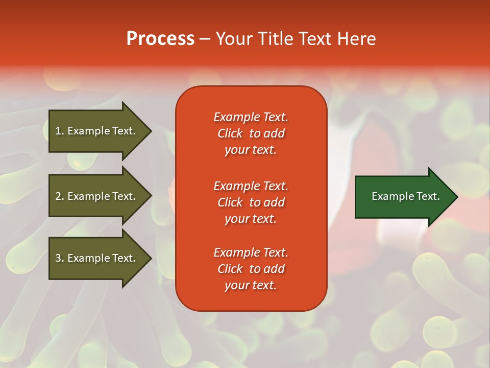 All Types Of Fish In The World PowerPoint Template