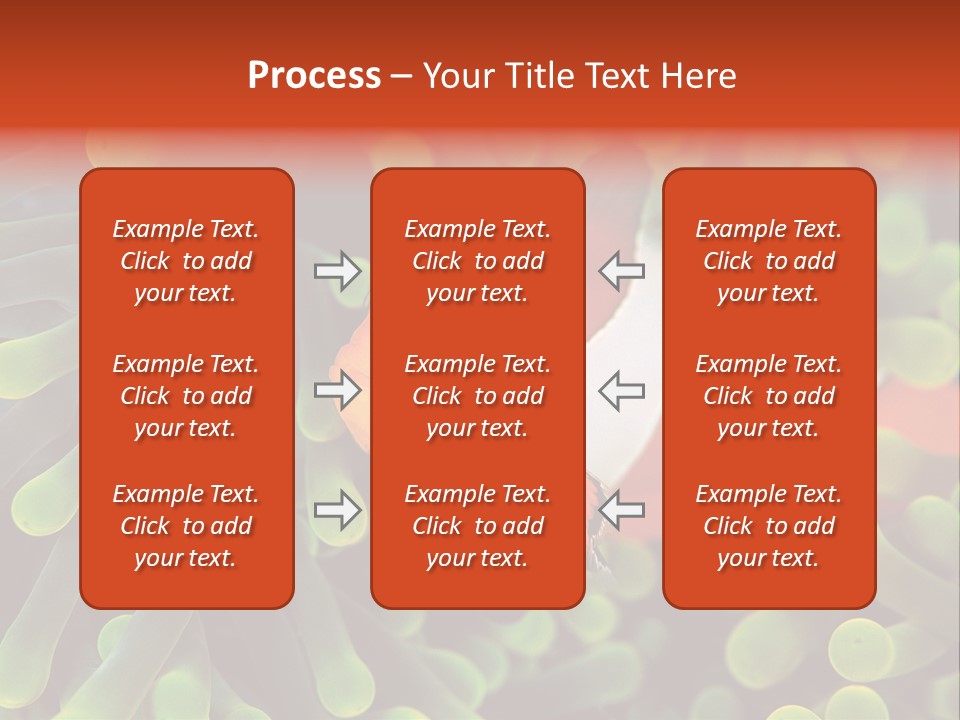All Types Of Fish In The World PowerPoint Template
