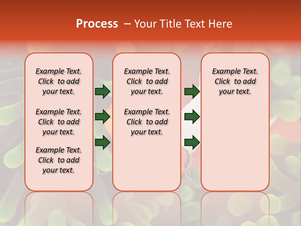 All Types Of Fish In The World PowerPoint Template
