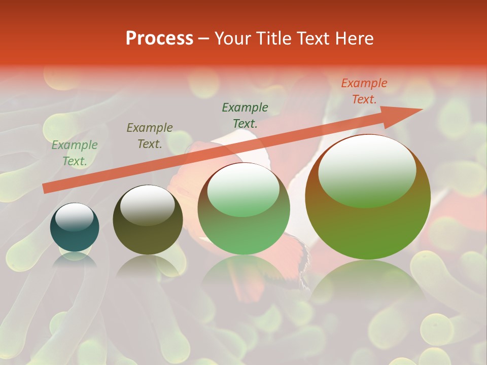 All Types Of Fish In The World PowerPoint Template